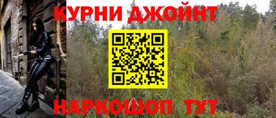 сатива Новодвинск