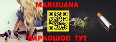 сатива Новодвинск