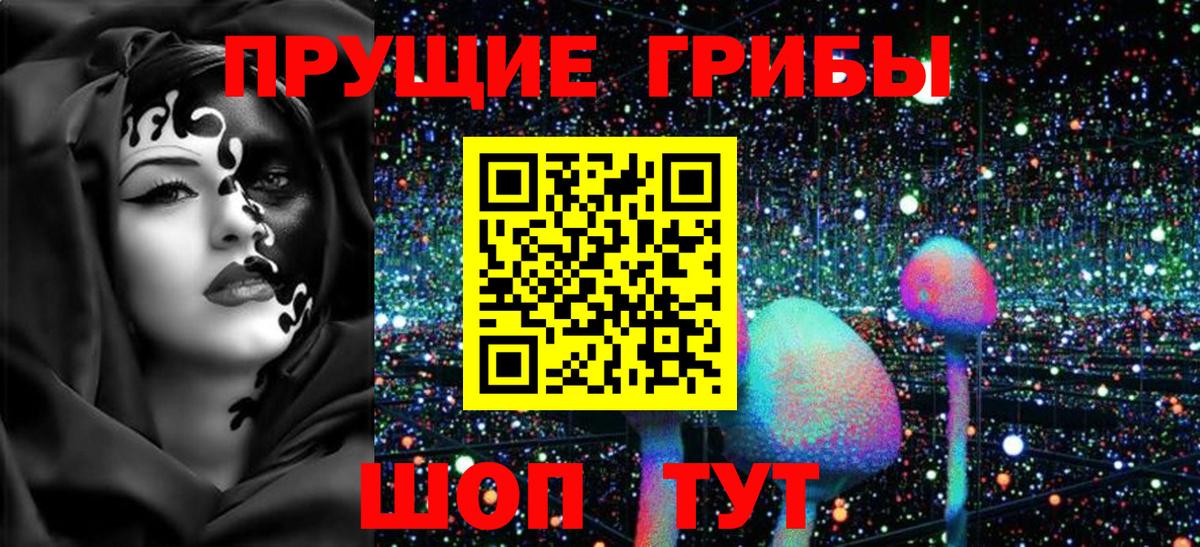 Новокуйбышевск  Галлюциногенные грибы прущие грибы  Вход с VPN 